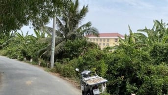 Bán đất tại Đường Kinh Rau Răm, Xã Bình Lợi, Bình Chánh, Hồ Chí Minh