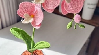 Hoa lan làm bằng len - Qùa tặng thủ công đầy tinh tế