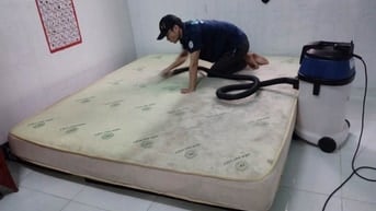 Cần tuyển 1 bạn làm vệ sinh sofa nệm