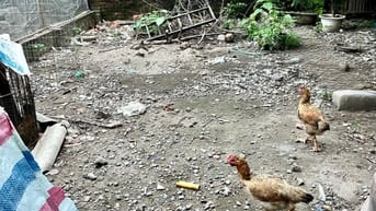 CỰC HIẾM MẢNH ĐẤT 38M² BÁT KHỐI - Ô TÔ VÀO ĐẤT - GIÁ HƠN 4 TỶ CHÚT