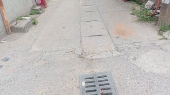 Hàng Hiếm giá cực Mềm còn sót lại ở Hay Đầu Tư Tuyệt vời Kim Chung ĐA