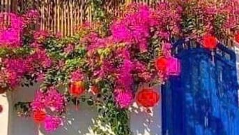 Ảnh đại diện
