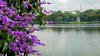 Cần một nữ khỏe mạnh, tuổi dưới 40 để làm xoa bóp, bấm huyệt