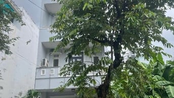 Cho thuê nhà phố mặt đường 16m . DT 100m2 ( 5 x 20m ) 3 sàn đúc 