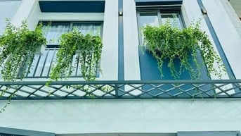 Ảnh đại diện