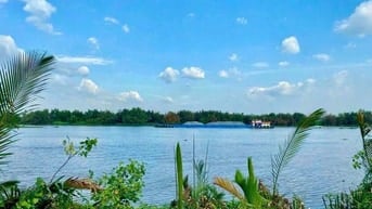 Siêu Phẩm 1000mv Mặt Tiền Sông Vàm Cỏ Đông xã Lương Hoà đường 2 xe tải