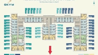 Căn hộ view biển SkyM Hạ Long,  giá 1.6 tỷ/ căn, sử dụng lâu dài