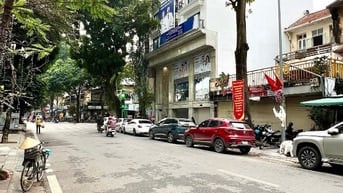 Chính chủ cho thuê mp Ngô Thì Nhậm, dt 148m2, mặt tiền 15m