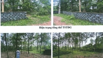 Bán đấu giá đất tại xã Phú Sơn, huyện Ba Vì, thành phố Hà Nội