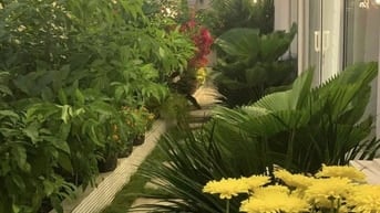 CHO THUÊ BIỆT THỰ 2 MẶT TIỀN TẠI TRUNG TÂM BÌNH THẠNH 