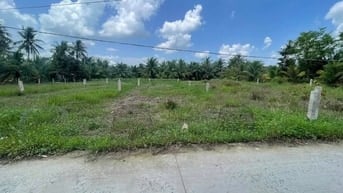 Chủ nợ ngân hàng cần bán gấp 300m2 ĐẤT thổ cư Xã Bình Chánh