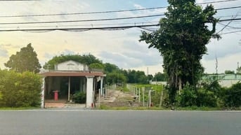 ĐẤT NGỘP THÁI MỸ, 317M2 1/ TỈNH LỘ 7 CÁCH QL22 CHỈ 8 PHÚT. 1,7 TỶ
