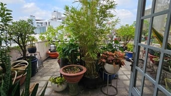 Ảnh đại diện