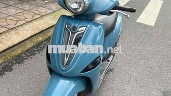 Nozza Fi biển 65 chính chủ