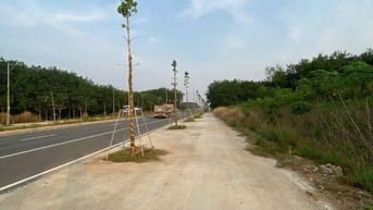 CHO THUÊ ĐẤT CÓ SKC MT ĐƯỜNG TẠO LỰC NGAY CHỢ PHÚ GIÁO,  THỜI GIAN 20 