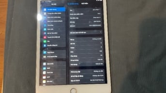 Người dùng bán ipad mini 4 wifi + 4G