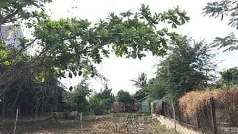 BÁN 2 LÔ ĐẤT LIỀN KỀ MT HÀ QUANG VÓC, BÌNH KHÁNH, CẦN GIỜ,  14,5TR/M2