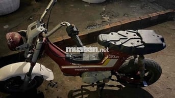 cần bán xe như hình