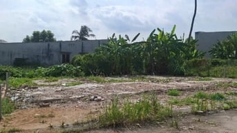 Đất Chính Chủ. SHR 1/Thạnh Xuân 52. Giá: 3 tỷ