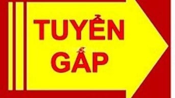 Tiệm rửa và chăm sóc xe hơi Cẩm Đường, Long Thành tuyển hoặc hợp tác