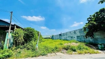 BÁN GẤP LÔ ĐẤT 400M2 THỔ CƯ,TÂN THÔNG HỘI,CỦ CHI,GIÁ NGỘP 520TR,SHR