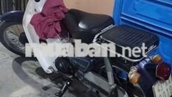 Cub81 cần bán