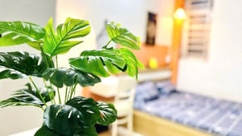 Cho thuê phòng máy lạnh 3tr2 giờ giấc tự do Gần Chợ Phạm Đăng Giảng 