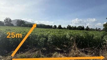 Công ty Đấu giá hợp danh Lam Sơn Sài Gòn THÔNG BÁO ĐẤU GIÁ TÀI SẢN