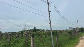 1,6 Sào Sổ Riêng Quy Hoạch Đất Ở,Tân Bình, Lagi Gần Biển