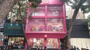 Tôi có nhà cho thuê mặt phố Bà Triệu 