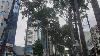 Cho thuê nhà mặt tiền đường Nguyễn Thị Minh Khai, Phường 2, Quận 3