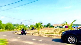 Cần Bán Gấp Lô Đất 100m2 Tại Tân Định Bến Cát Mặt Tiền Nhựa 8m 