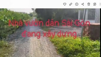 Cần Bán gấp Đất vườn, ấp 5, xã Thạnh Lợi, Bến Lức, Long An