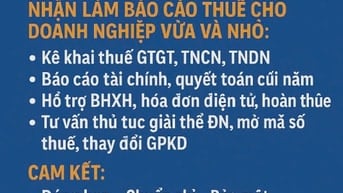 Nhận Làm Báo Cáo Thuế Cho Doanh Nghiệp Vừa Và Nhỏ.