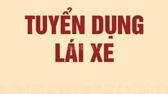 Tuyển lái xe cho Cty tư nhân, yêu cầu: tuổi từ 35-50, có 10 năm KN
