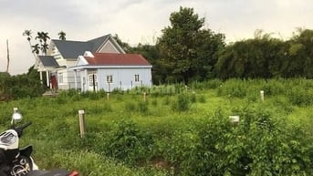 Chính chủ cần bán lô đất SHR Tỉnh Lộ 7 xã Thái Mỹ, Củ Chi