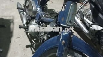 Cub đẹp leng keng
