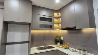 Khách muốn mua căn hộ ở Phú Mỹ HCM gọi ngay em để mua suất nội bộ nhé