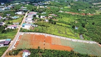 🌿 BÁN ĐẤT BẢO LỘC – CÁCH TRUNG TÂM 10 PHÚT – ĐƯỜNG NHỰA 7M – SỔ HỒNG 