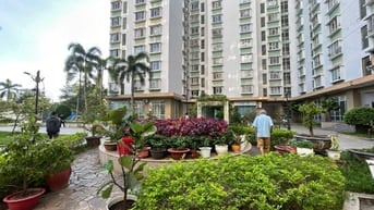 Cần bán gấp chung cư D1 KDC Phú Lợi P7 Q8.  - Dc: Phạm Thế Hiển P7 Q8.