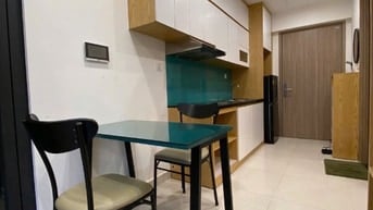 Bán căn hộ chung cư CC Vinhome Smart City Tây Mỗ, quận Nam Từ Liêm, HN