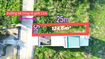 Bán đất 125m2 tại Tân An Hội, Củ Chi, giá siêu hời 740 triệu