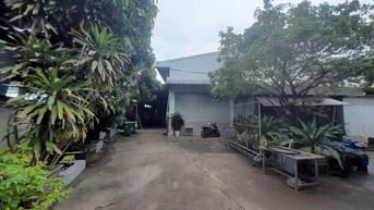 Kho xưởng cho thuê Quận Gò Vấp , DT: 3,200m2 