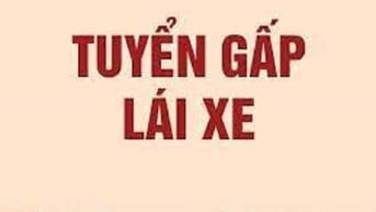 Tuyển lái xe tải 2,4 tấn đi làm ngay, bằng B2 trở lên, có kinh nghiệm