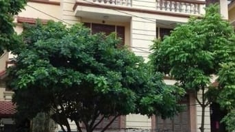 Bán BT Vinaconex 3 Trung Văn. DT 162m2 x 4T, Mt 9m có Hầm. Giá 42,5 tỷ