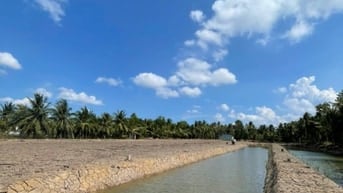 160tr đất vườn sẵn thổ cư cách SG chỉ 70km tại Tân Phú Đông,Tiền Giang