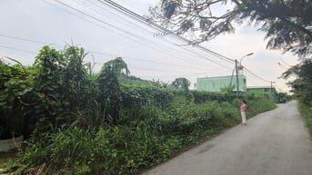 Cho thuê đất làm kho, nhà xưởng 1350m2, 11 triệu VND tại Đường 130, Củ