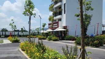 🔥 Cá mập mắc cạn - Nhà đẹp bình chánh - Giá chỉ bằng căn hộ chung cư 