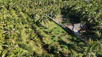 Chỉ 450triệu - 1,500m2 vườn dừa sẵn 100m2 thổ cư tại Tân Phú Đông