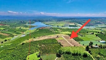Diện tích 355m2/lô sẵn 100m2 đất ở, sẵn sổ, view hồ tại Phúc Thọ 